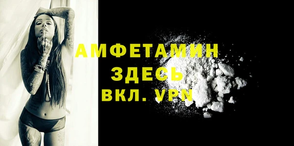 гидра Алексеевка