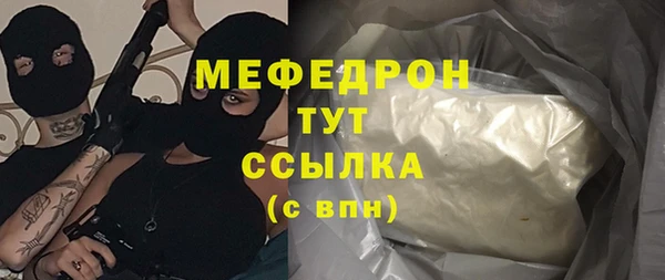 СК Алексин