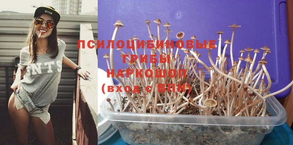 СК Алексин