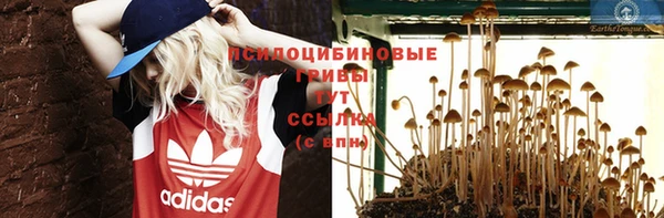 СК Алексин