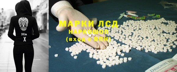 индика Нефтекумск