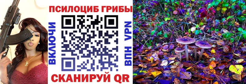 shop клад  Полтавская  Псилоцибиновые грибы мухоморы 